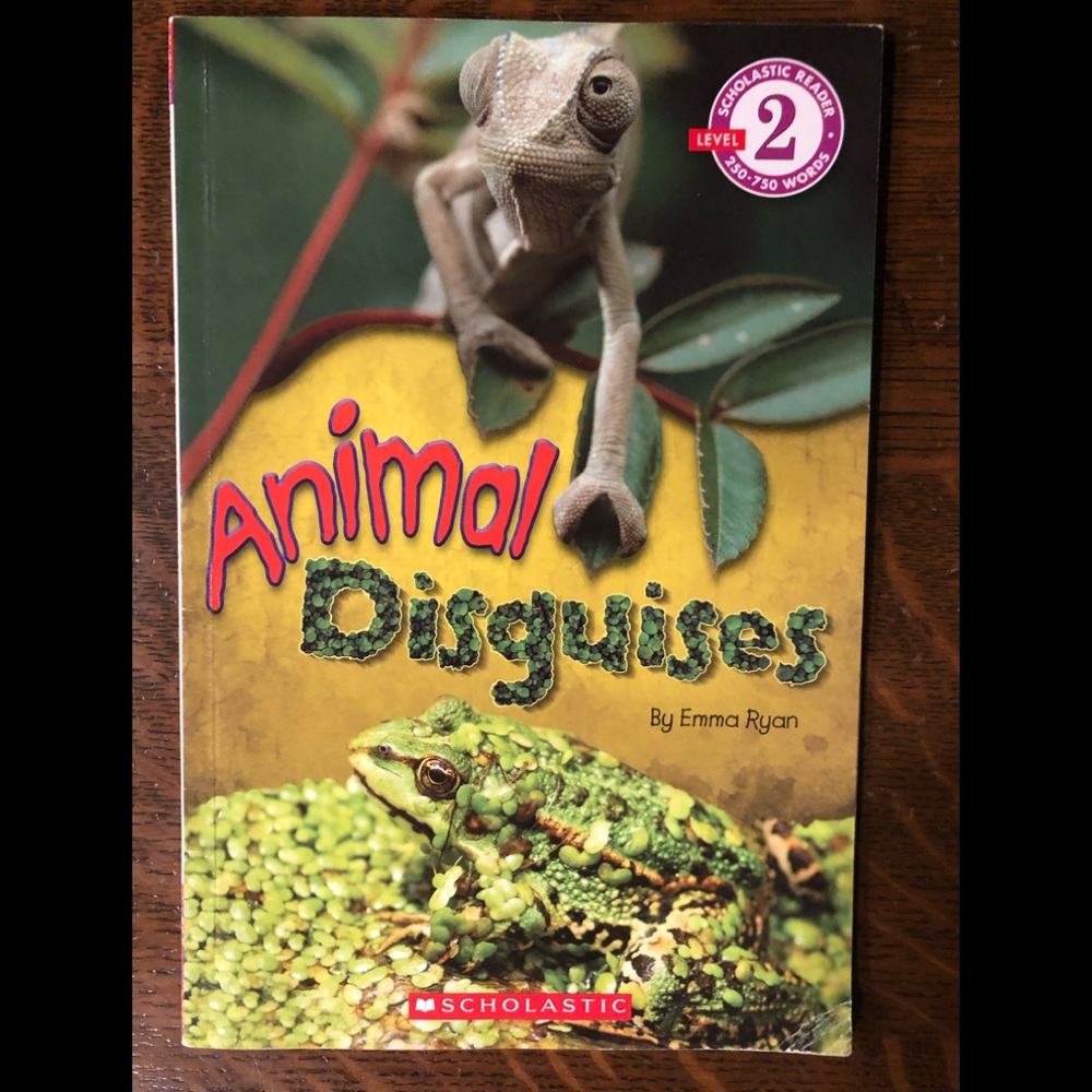 Animal Disguises By Emma Ryan